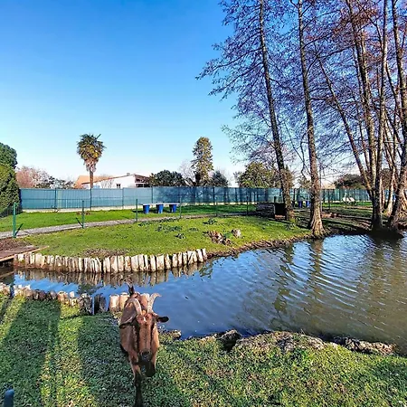 Le Clos Des Chenes-1 By Interhome Dom wakacyjny